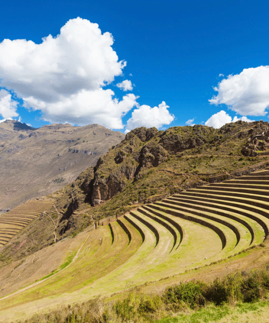 PISAC