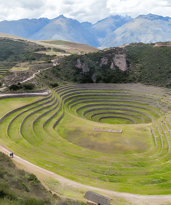 MORAY