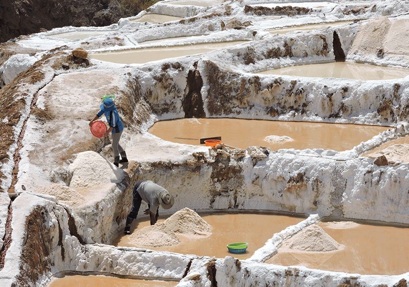 Pozas de sal de las Salineras de Maras en Cusco