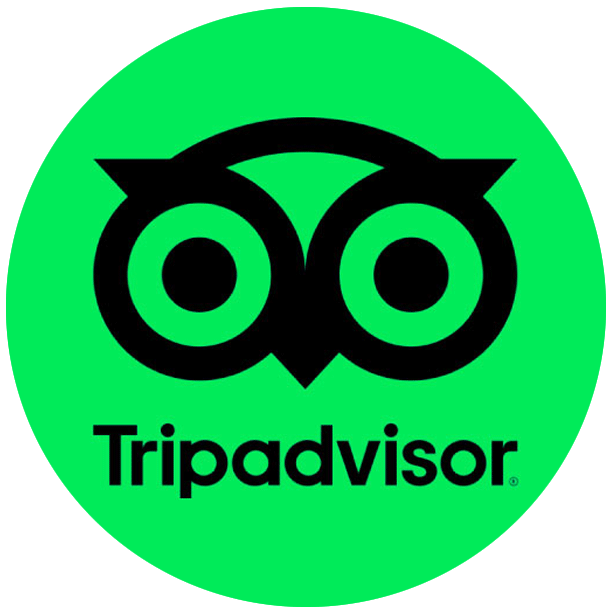 TripAdvisor Rating